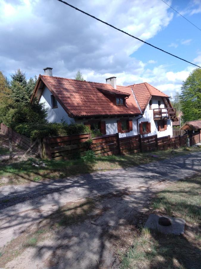 Villa Dom Na Grobli Dluzki Exterior foto